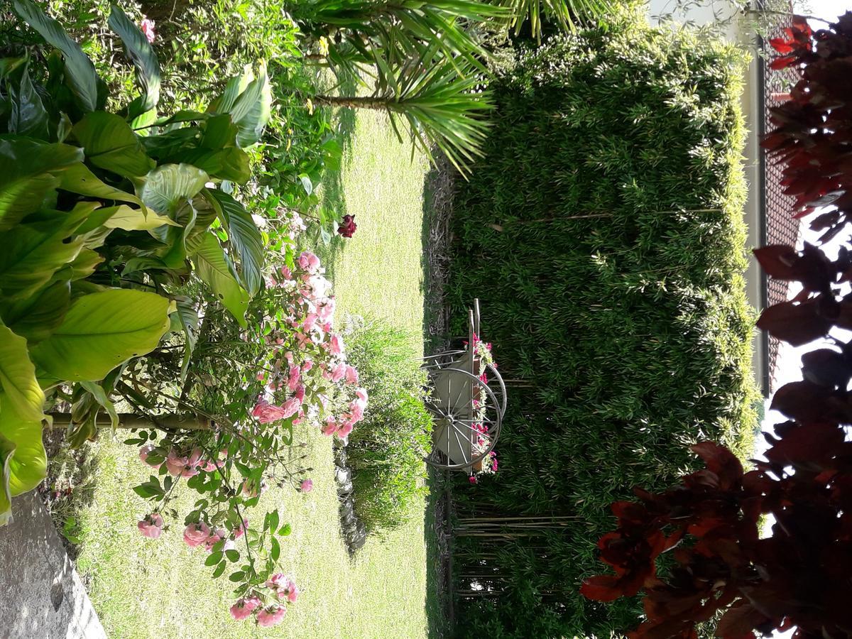 Apartament Aliso' Sarzana Zewnętrze zdjęcie