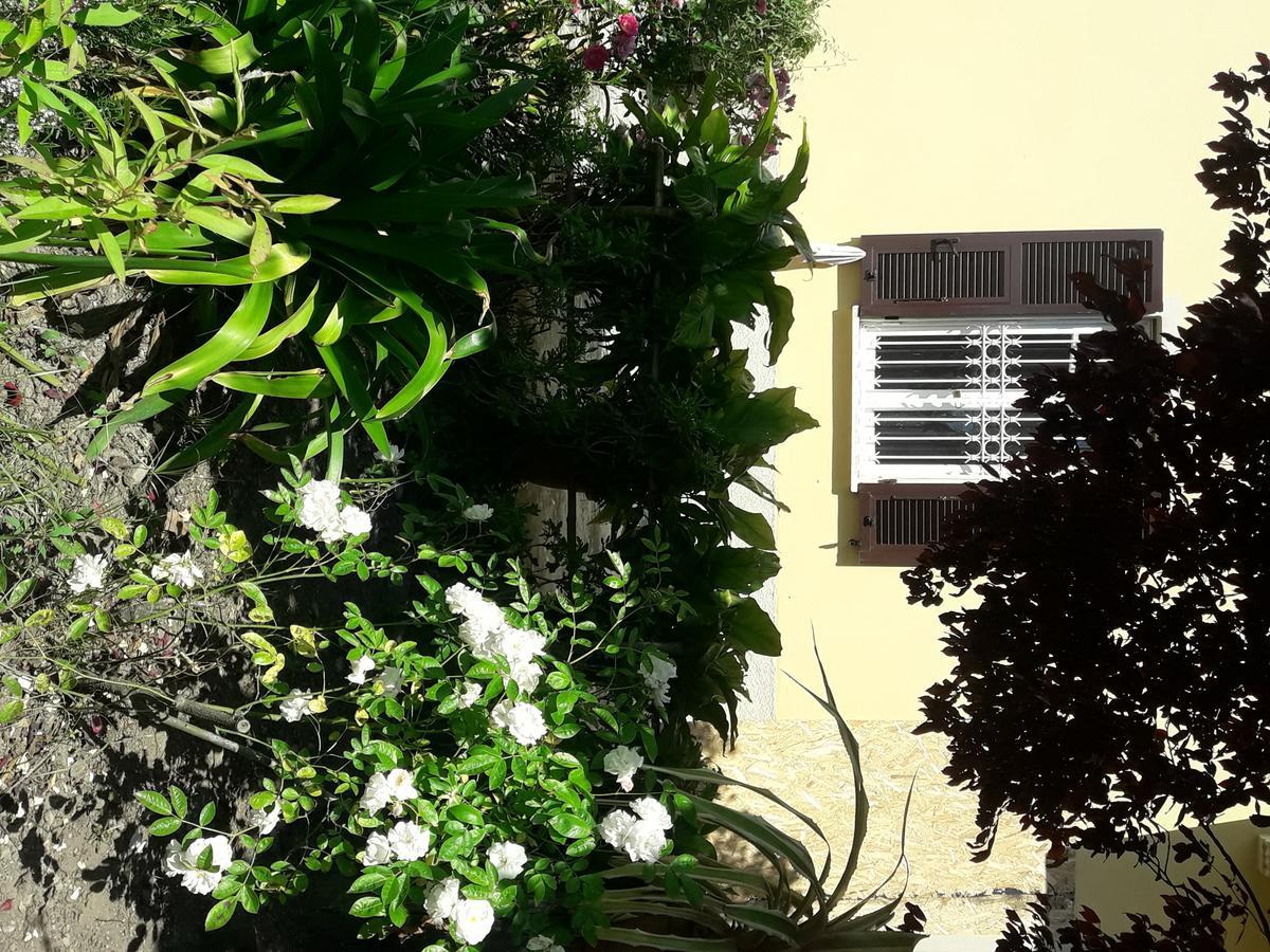 Apartament Aliso' Sarzana Zewnętrze zdjęcie